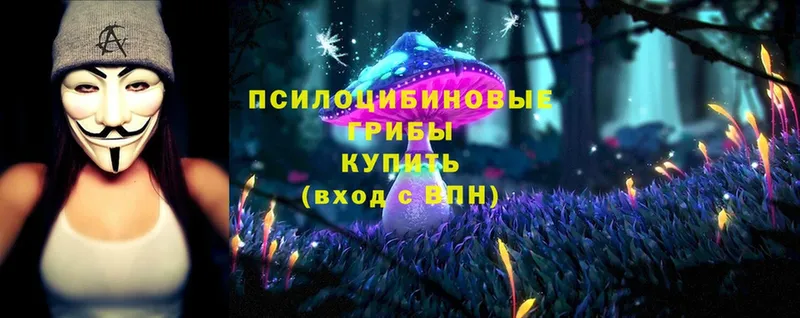 Галлюциногенные грибы MAGIC MUSHROOMS  маркетплейс какой сайт  Осташков  гидра вход 